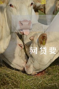 网贷要逾期费合法吗 网贷要逾期费合法吗