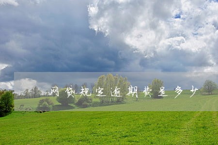 网贷规定逾期费是多少 网贷规定逾期费是多少