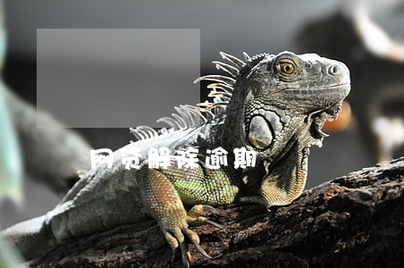 网贷解除逾期 网贷解除逾期