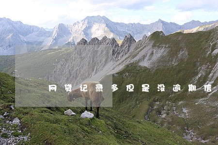网贷记录多但是没逾期信用卡
