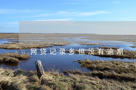 网贷记录多但没有逾期 网贷记录多但没有逾期