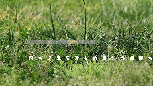 网贷记录多没有逾期能办理房贷吗 网贷记录多没有逾期能办理房贷吗