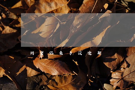 网贷记录多没逾期 网贷记录多没逾期