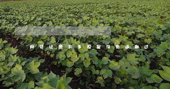 网贷记录太多但是没有逾期过 网贷记录太多但是没有逾期过