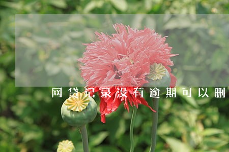 网贷记录没有逾期可以删除吗 网贷记录没有逾期可以删除吗