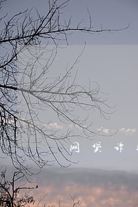 网贷诈骗逾期也有app吗
