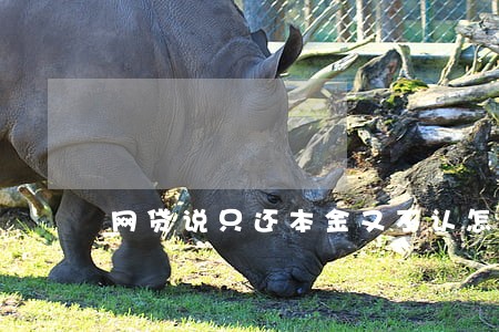 网贷说只还本金又不认怎么办 网贷说只还本金又不认怎么办