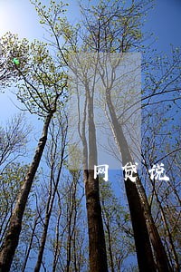 网贷说只还本金就可以 网贷说只还本金就可以