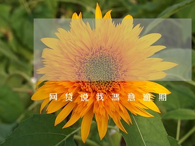 网贷说我恶意逾期 网贷说我恶意逾期