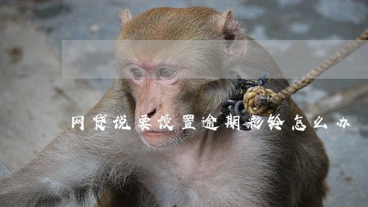 网贷说要设置逾期彩铃怎么办 网贷说要设置逾期彩铃怎么办