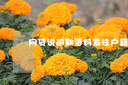 网贷说逾期资料发往户籍地 网贷说逾期资料发往户籍地