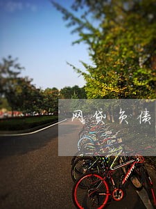 网贷负债五万全面逾期 网贷负债五万全面逾期