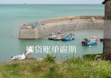 网贷账单逾期 网贷账单逾期