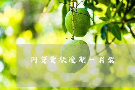 网贷货款逾期一月发