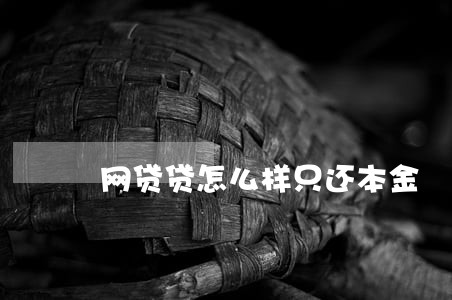 网贷贷怎么样只还本金 网贷贷怎么样只还本金