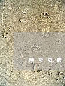网贷贷款不能逾期