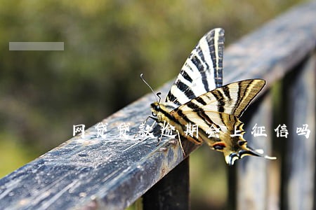 网贷贷款逾期会上征信吗 网贷贷款逾期会上征信吗