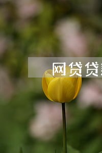 网贷贷款逾期几天会怎么样 网贷贷款逾期几天会怎么样