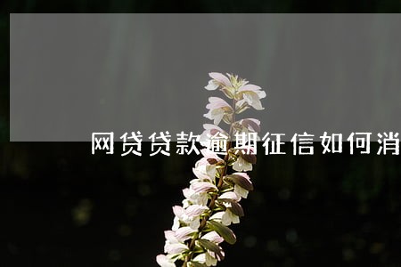 网贷贷款逾期征信如何消除 网贷贷款逾期征信如何消除