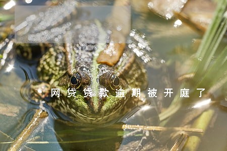 网贷贷款逾期被开庭了 网贷贷款逾期被开庭了