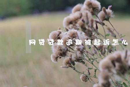 网贷贷款逾期被起诉怎么办 网贷贷款逾期被起诉怎么办