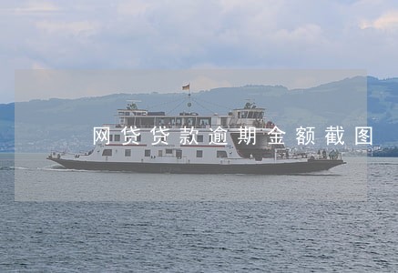 网贷贷款逾期金额截图 网贷贷款逾期金额截图