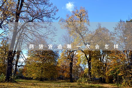 网贷贷逾期一次会怎样 网贷贷逾期一次会怎样