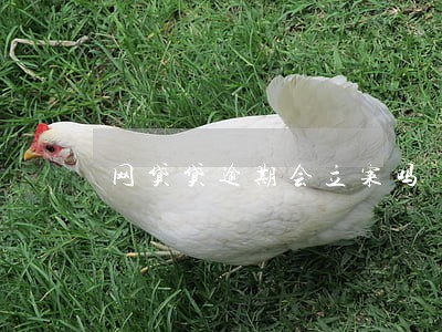 网贷贷逾期会立案吗 网贷贷逾期会立案吗