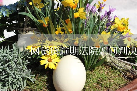 网贷贷逾期法院如何判决 网贷贷逾期法院如何判决