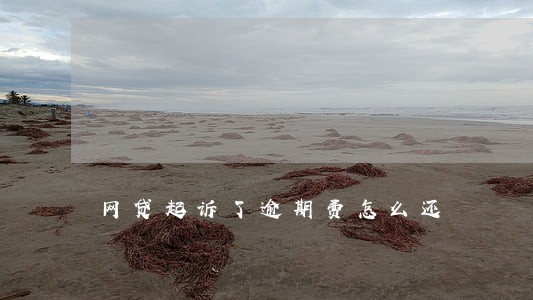 网贷起诉了逾期费怎么还 网贷起诉了逾期费怎么还