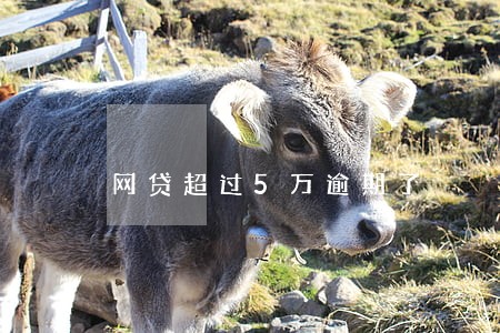 网贷超过5万逾期了 网贷超过5万逾期了