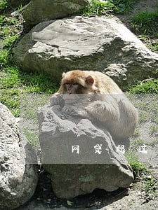 网贷超过5万逾期怎么办 网贷超过5万逾期怎么办