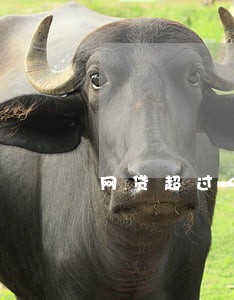 网贷超过90天逾期会怎么样