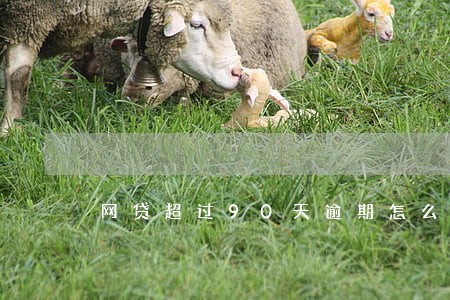 网贷超过90天逾期怎么消除 网贷超过90天逾期怎么消除