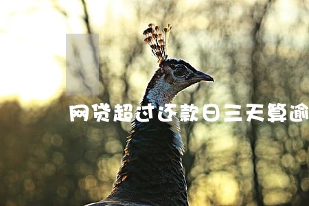 网贷超过还款日三天算逾期吗 网贷超过还款日三天算逾期吗