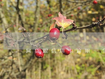 网贷跟信用卡逾期一个月 网贷跟信用卡逾期一个月