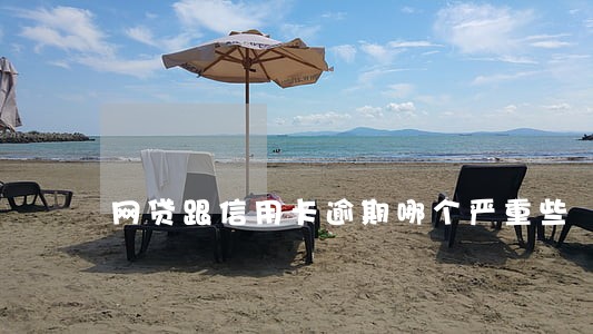 网贷跟信用卡逾期哪个严重些