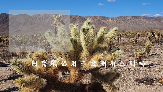 网贷跟信用卡逾期有区别吗 网贷跟信用卡逾期有区别吗