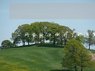 网贷软件倒闭了那逾期的钱 网贷软件倒闭了那逾期的钱