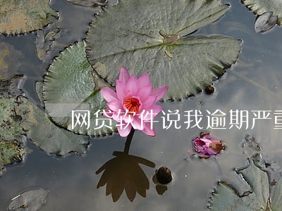 网贷软件说我逾期严重 网贷软件说我逾期严重