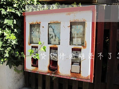网贷软件逾期还不了怎么还 网贷软件逾期还不了怎么还