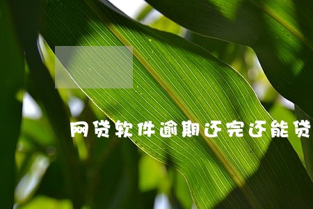 网贷软件逾期还完还能贷出来吗 网贷软件逾期还完还能贷出来吗