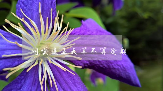 网贷过五天算不算逾期