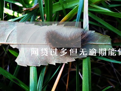 网贷过多但无逾期能做担保人 网贷过多但无逾期能做担保人