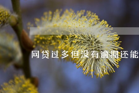 网贷过多但没有逾期还能房贷吗 网贷过多但没有逾期还能房贷吗