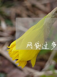 网贷过多没有逾期从哪里借钱 网贷过多没有逾期从哪里借钱