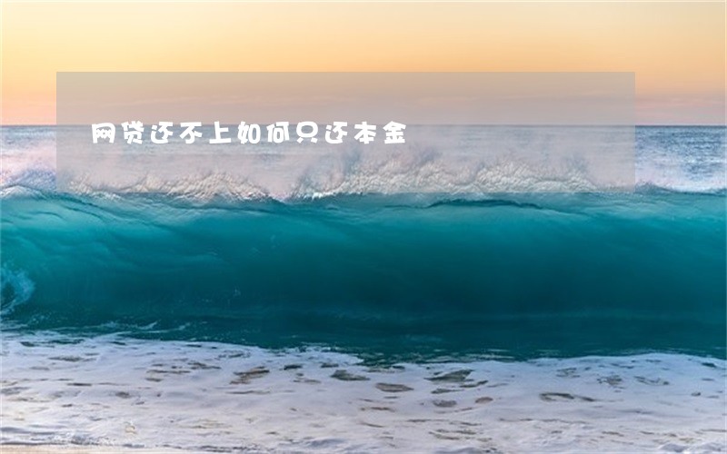网贷还不上如何只还本金 网贷还不上如何只还本金
