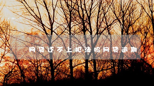 网贷还不上犯法吗网贷逾期 网贷还不上犯法吗网贷逾期