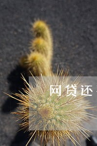 网贷还不上逾期了 网贷还不上逾期了