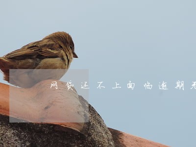 网贷还不上面临逾期无能为力 网贷还不上面临逾期无能为力